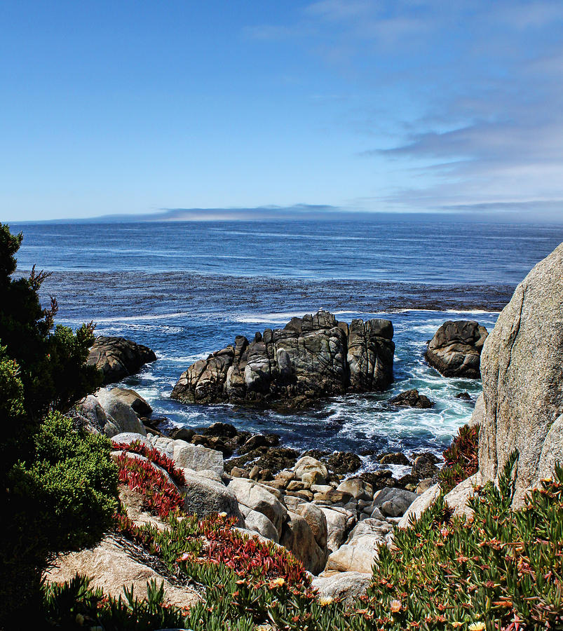 Window to the Ocean Photograph by Judy Vincent | Fine Art America