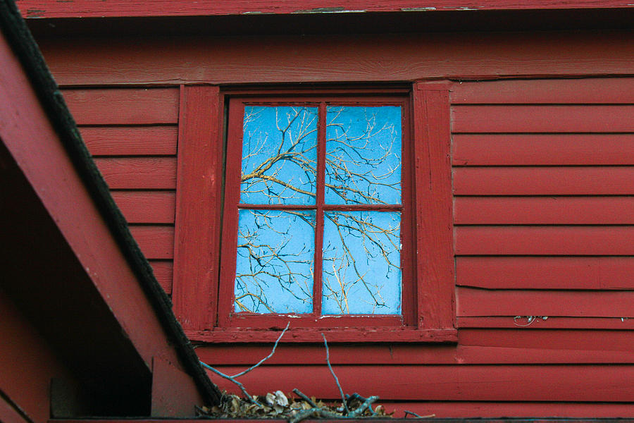 Window to the Sky Photograph by Jeff Mize