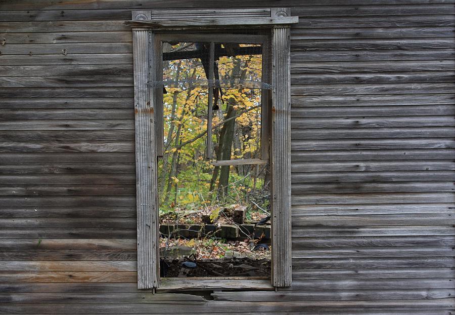 Window with a View Photograph by Jeff Roney Fine Art America