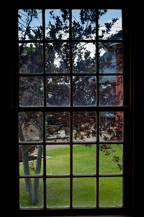 Window View Photograph by Wild Sage Studio Karen Powers - Fine Art America