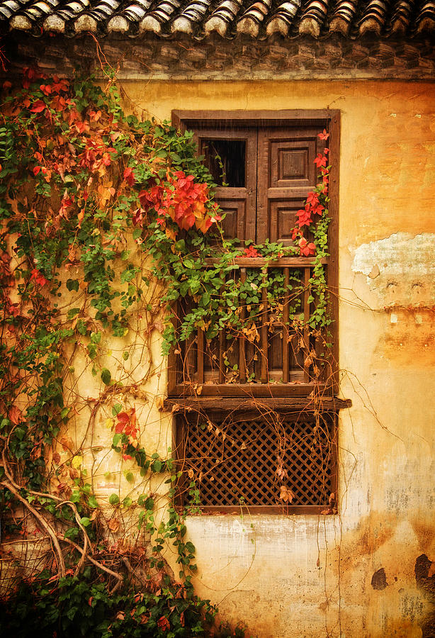 Window with Fall Flowers at Generalife Photograph by Levin Rodriguez