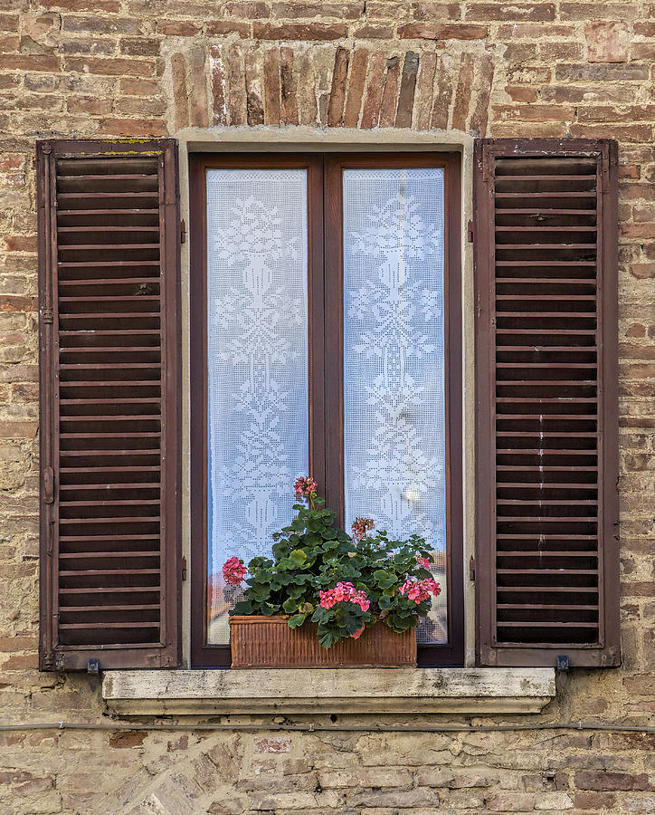 Window with Flowers of Florence Photograph by David Letts