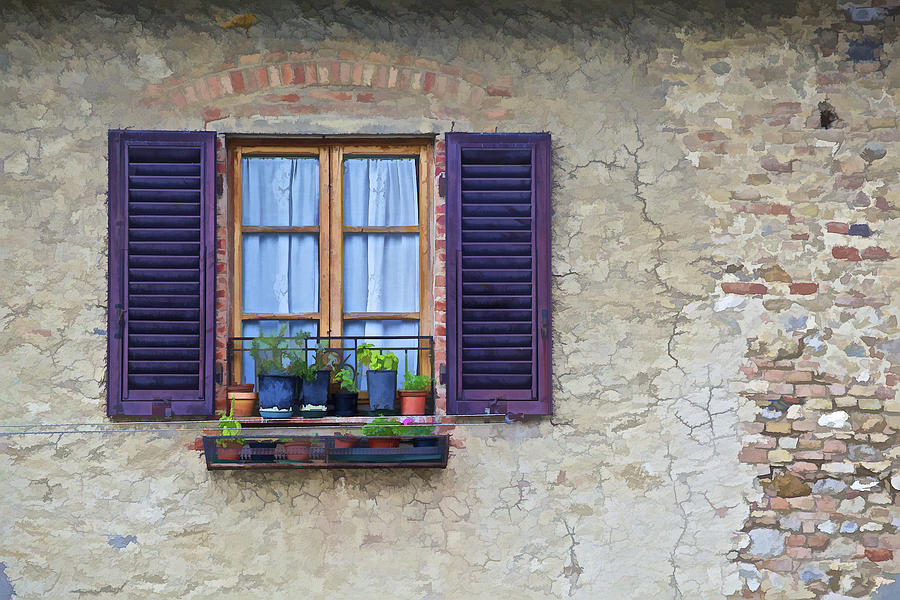 Window with Potted Plants of Rural Tuscany Photograph by David Letts