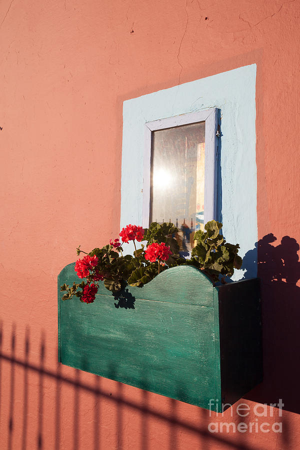 Window with red flowers in a greek village Photograph by Matteo Colombo