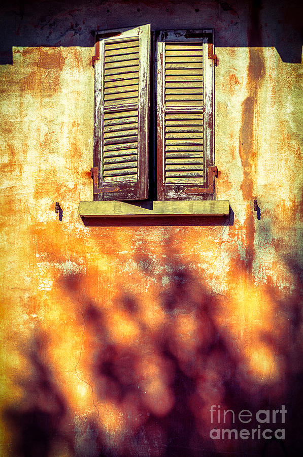 Window with tree shadow    Photograph by Silvia Ganora