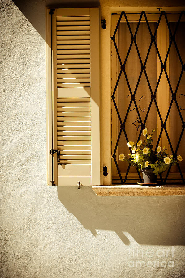 Architecture Photograph - Window with vase and petunias by Silvia Ganora