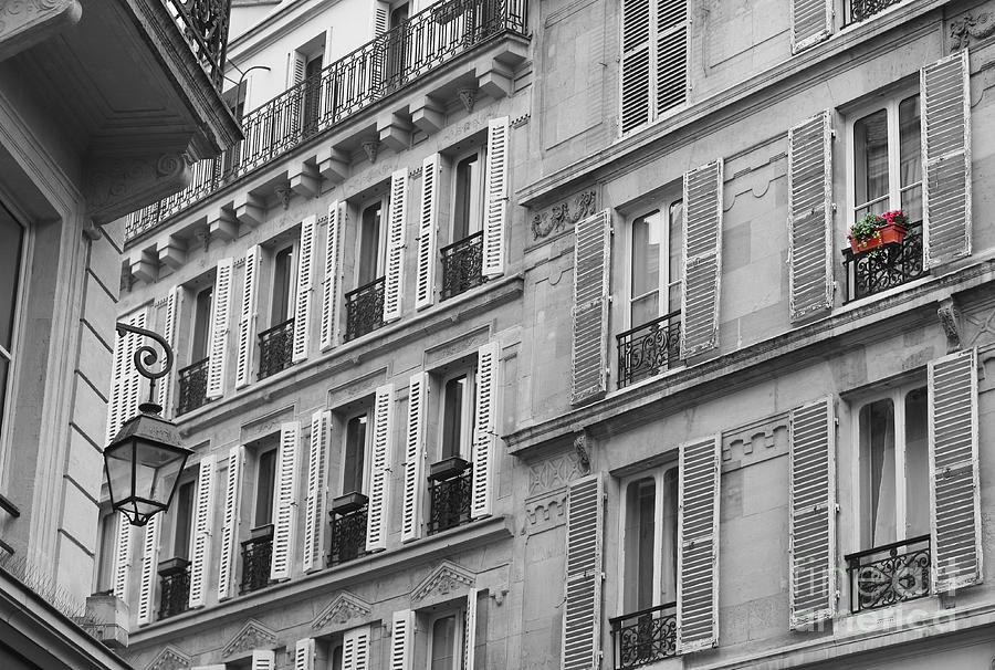 Windowbox In Paris Photograph by Hermes Fine Art