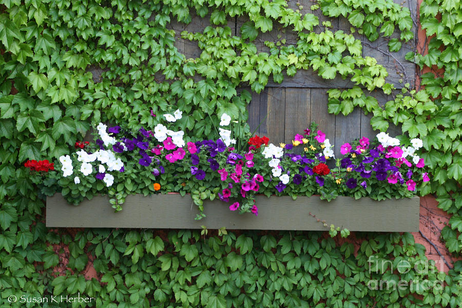 Windowless Box Photograph by Susan Herber - Fine Art America