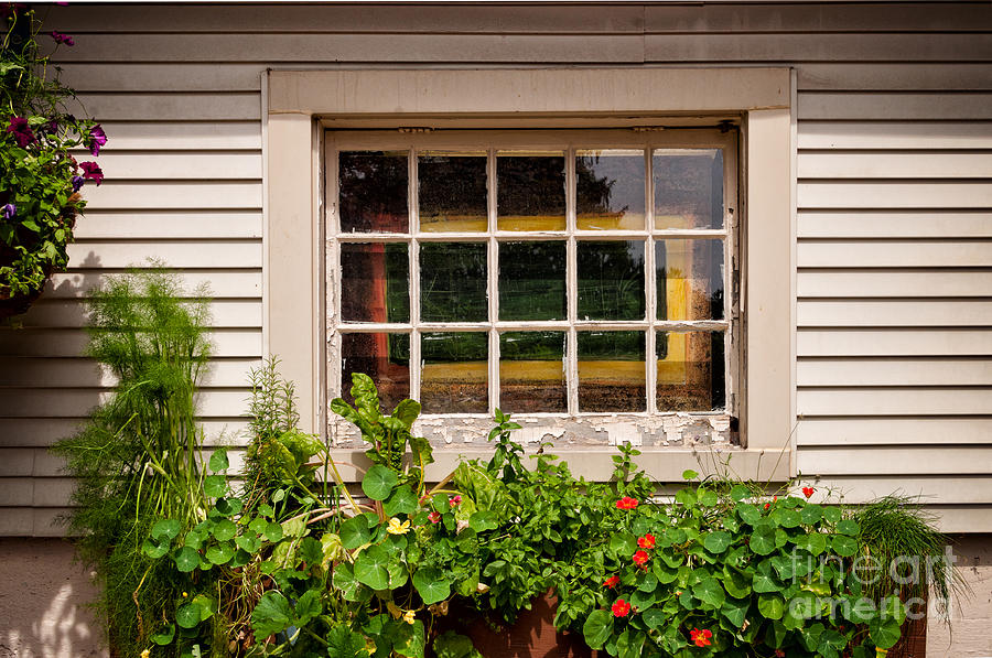 Windows and flowers Photograph by Les Palenik