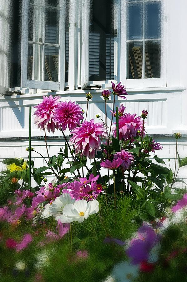 Windows and Flowers Photograph by Randy Pollard