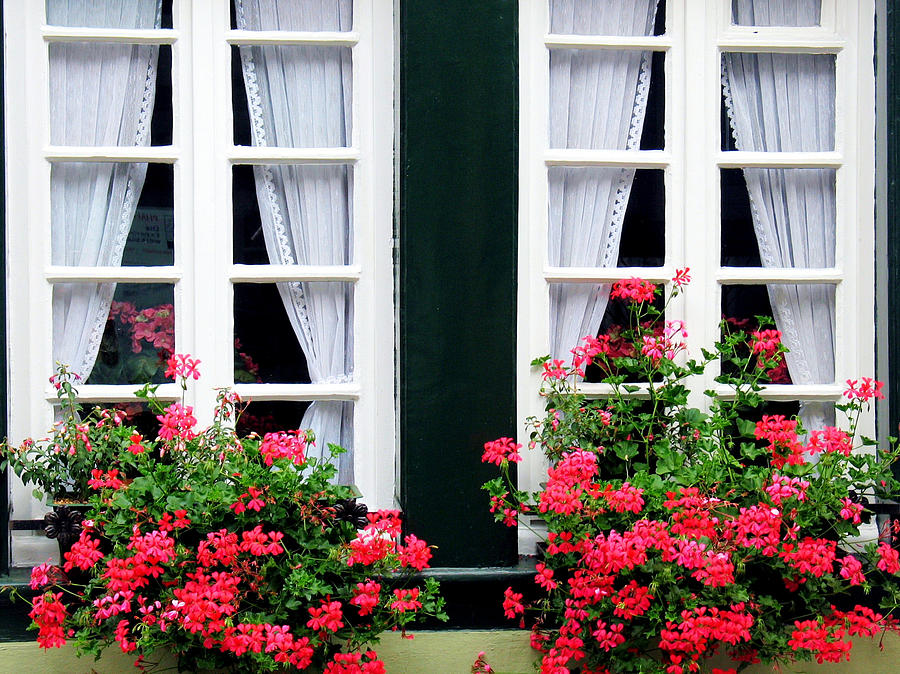 Windows and Ivy Geranium Photograph by Gerry Bates