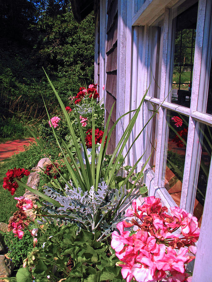 Windows and Window Boxes Photograph by Barbara McDevitt