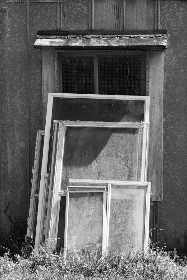 Windows Photograph by John Greco