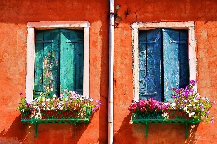 Windows of Venice Photograph by Brian Davis