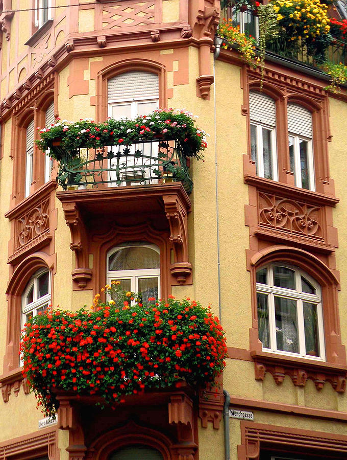 Flower Photograph - Windows on Heidelberg by Jean Hall