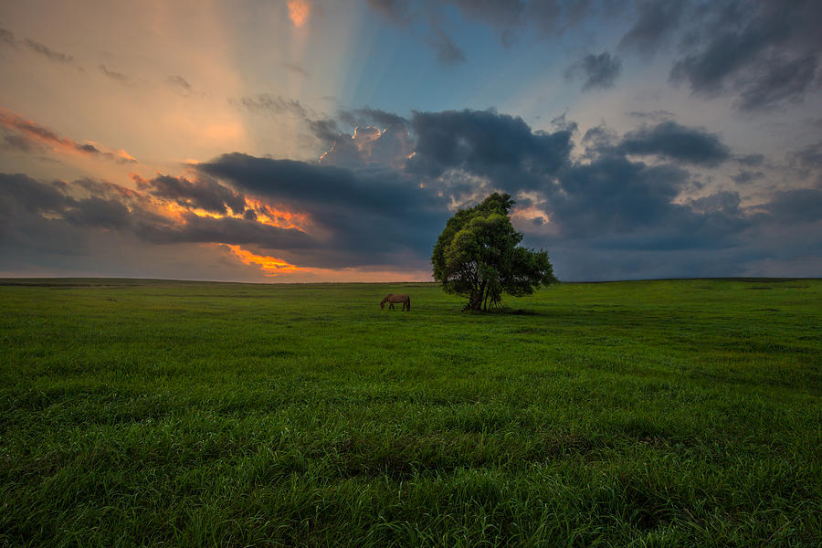 Windows SD Photograph by Aaron J Groen