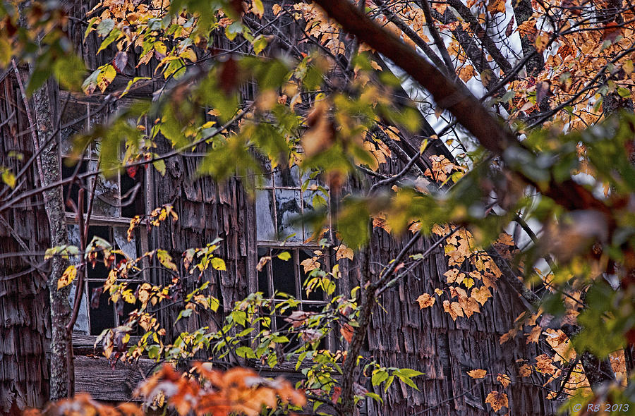 Windows View Through Autumn Photograph by Richard Bean