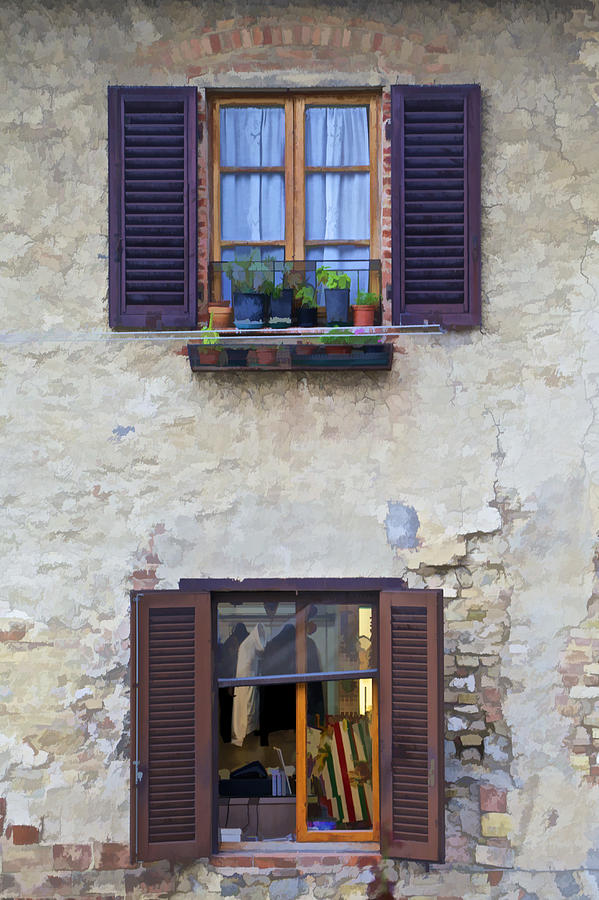 Windows with Potted Plants of Rural Tuscany Photograph by David Letts