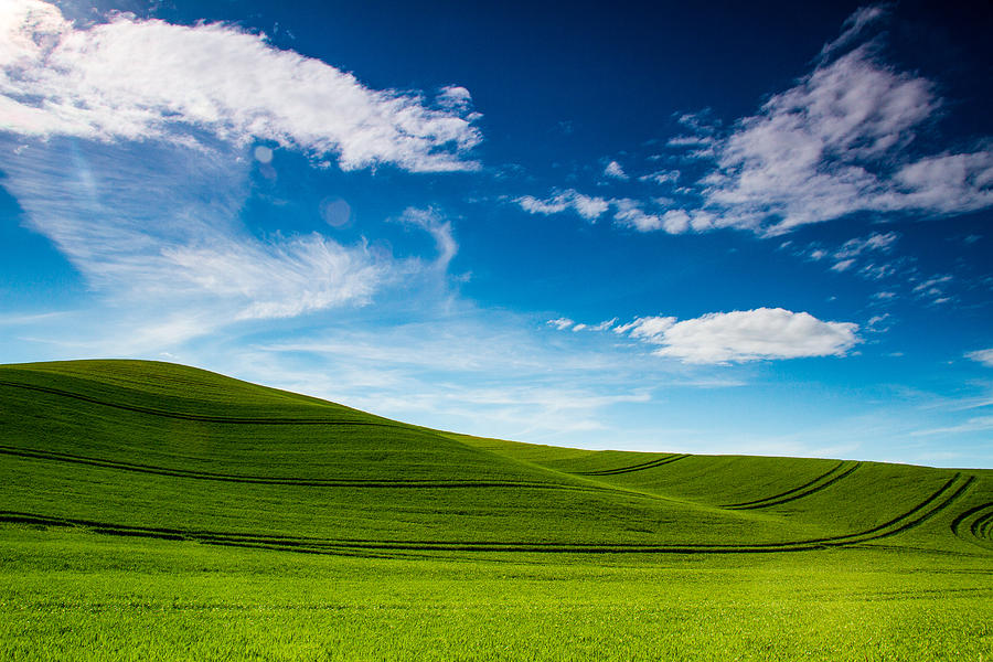 Windows XP Photograph by Kunal Mehra