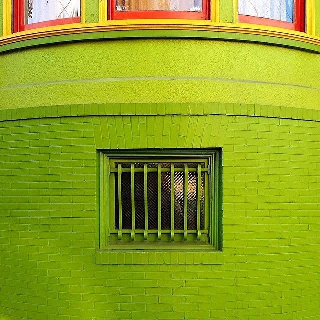 Green Wall Photograph by Julie Gebhardt