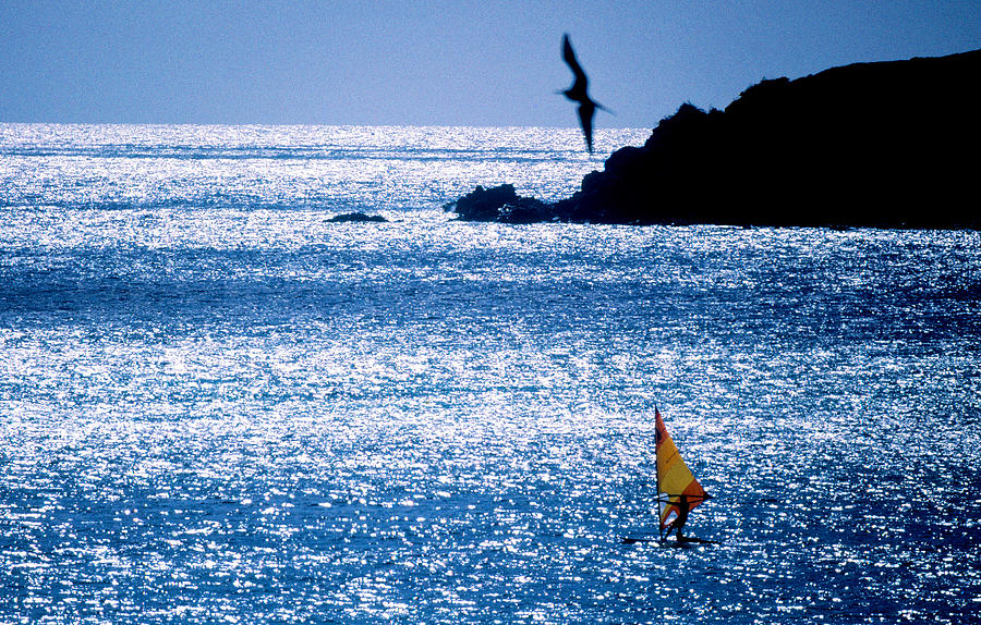 Nature Photograph - Windsurfer In The Sea, Sint Maarten by Panoramic Images