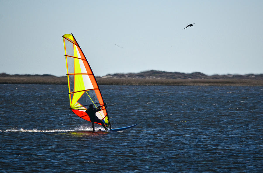 Windsurfing Photograph by Sandi OReilly