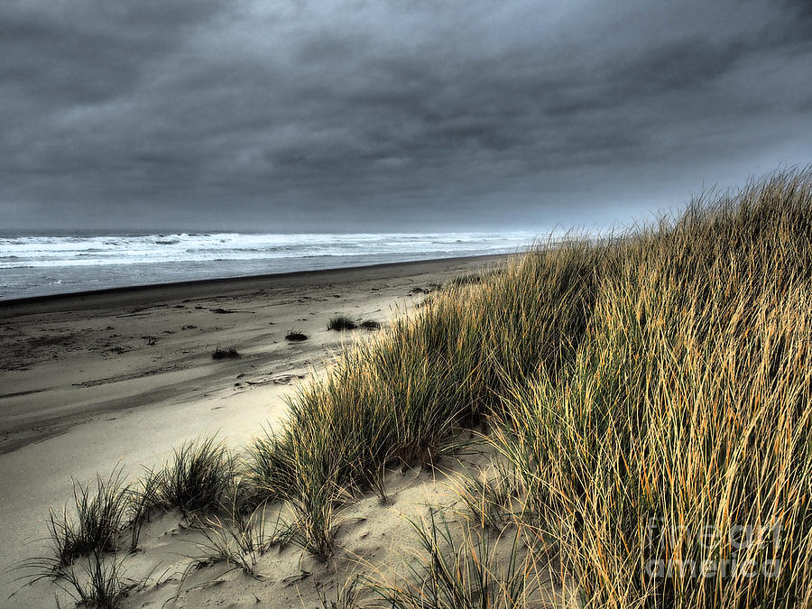 Beach Photograph - Windswept by Parrish Todd