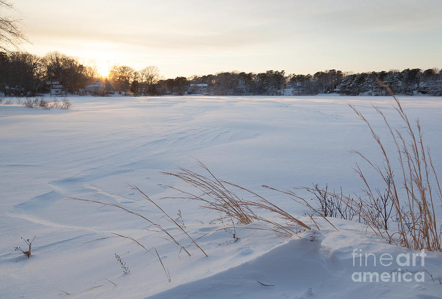 Nature Photograph - Windswept Snowscape by Michelle Constantine