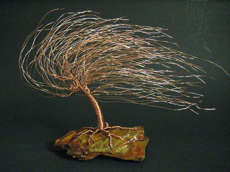 Twisted Roots Pretentiawhat Twisted Roots Pretentiawhat