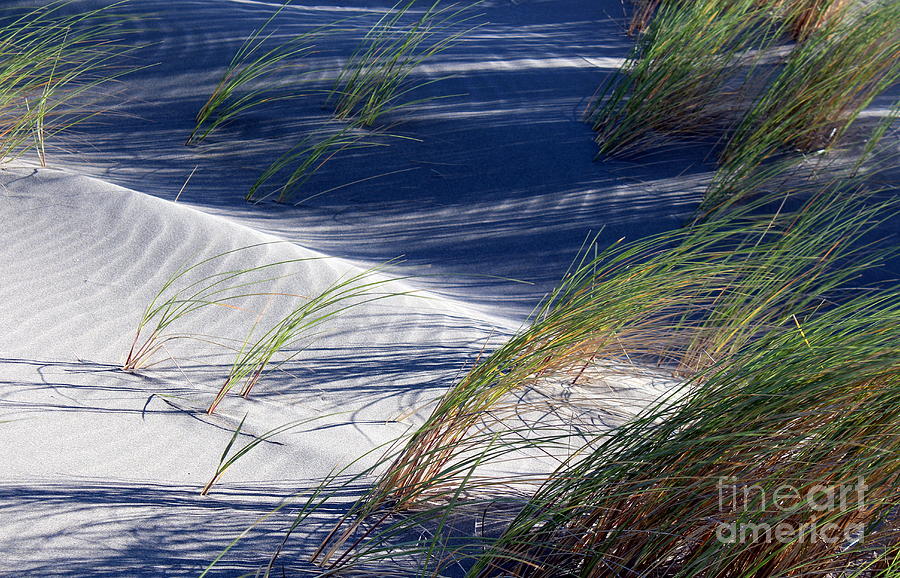 Nature Photograph - White sand by Irina Hays