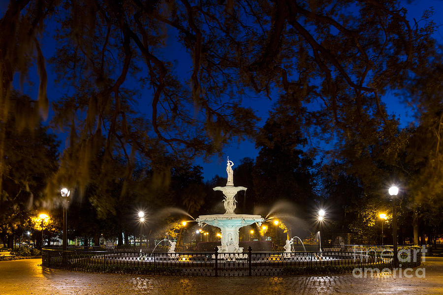 Tree Photograph - Windy Night in Forsyth Park Savannah Georgia by Dawna Moore Photography