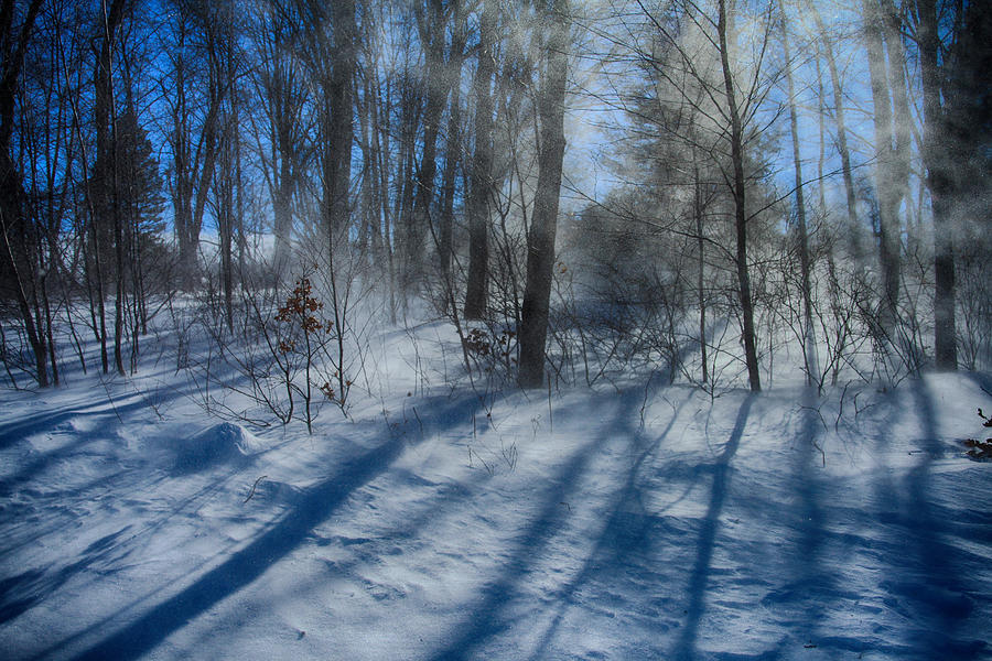 Winter Photograph - Windy Winter by Karol Livote