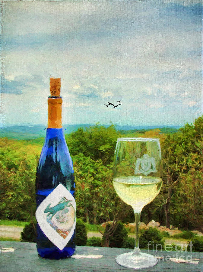 Wine Photograph - Wine and a View by Darren Fisher