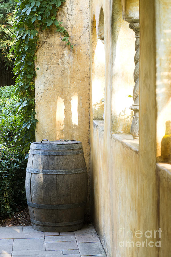 Wine Barrel at the Vineyard Photograph by Jon Neidert