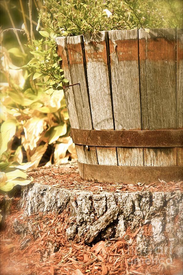 Wine barrel Photograph by Deena Withycombe
