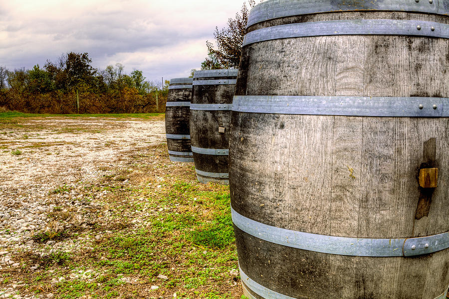 Wine barrels Photograph by Alexey Stiop