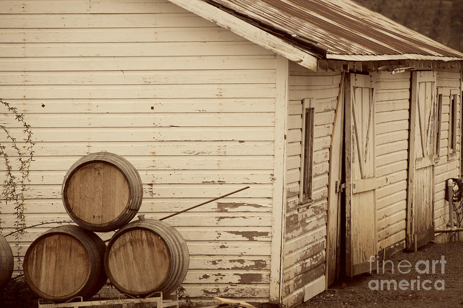 Wine Barrels and Rustic White Barn Photograph by Juli Scalzi