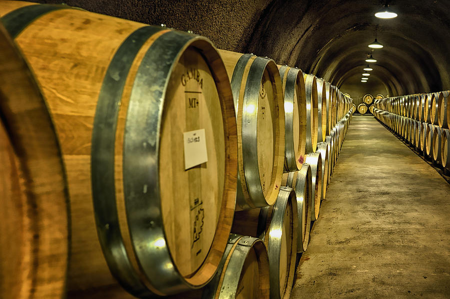 Wine barrels Photograph by Bill Dodsworth