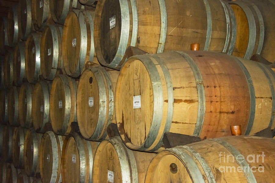 Wine Barrels Photograph by Bob Phillips