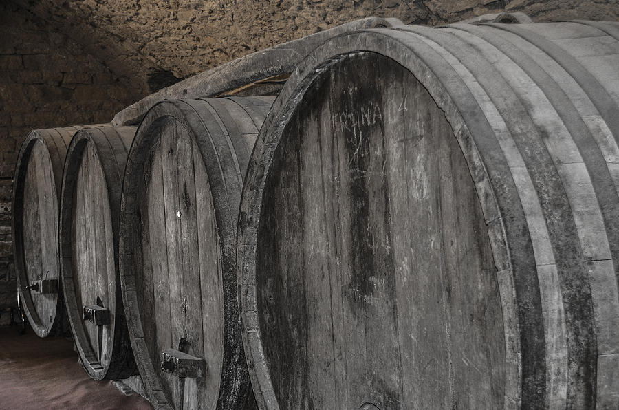 The Wine Barrels, black and white Photograph by Dany Lison