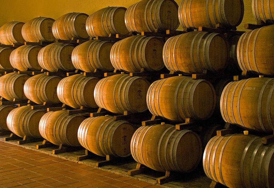 Wine barrels Photograph by Dennis Cox