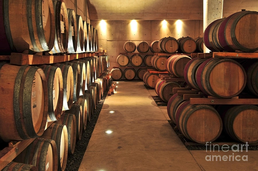 Wine Photograph - Wine barrels 1 by Elena Elisseeva