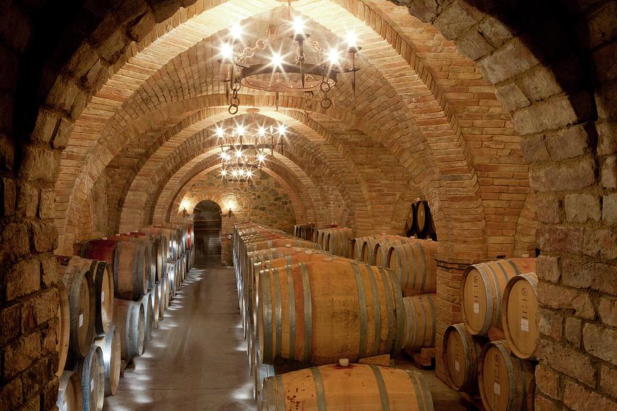 Wine Barrels In A Winery Photograph by Peter Menzel