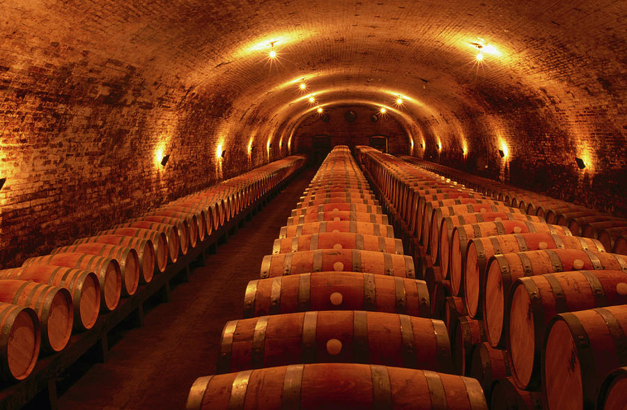 Wine Barrels In Maturation Cellar Photograph by Oliver Strewe Wine Barrels In Maturation Cellar Photograph by Oliver Strewe