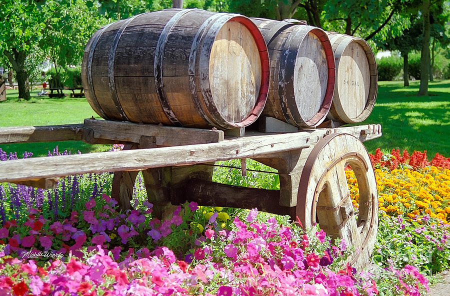 Flower Photograph - Wine Barrels in Spring at V Sattui Winery by Michelle Constantine