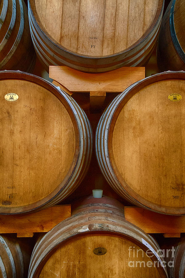 Wine Barrels Photograph by Michele Steffey