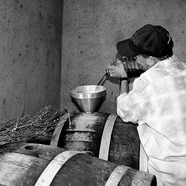 Wine Photograph - #wine #barrels #portugal #blackandwhite by Essy Dias
