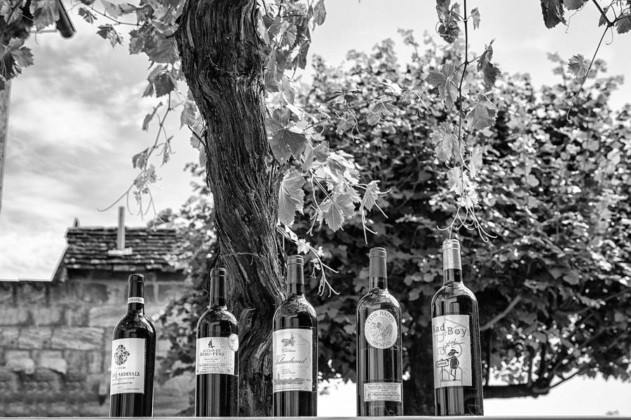 Wine Bottle Row in Mono Photograph by Georgia Clare
