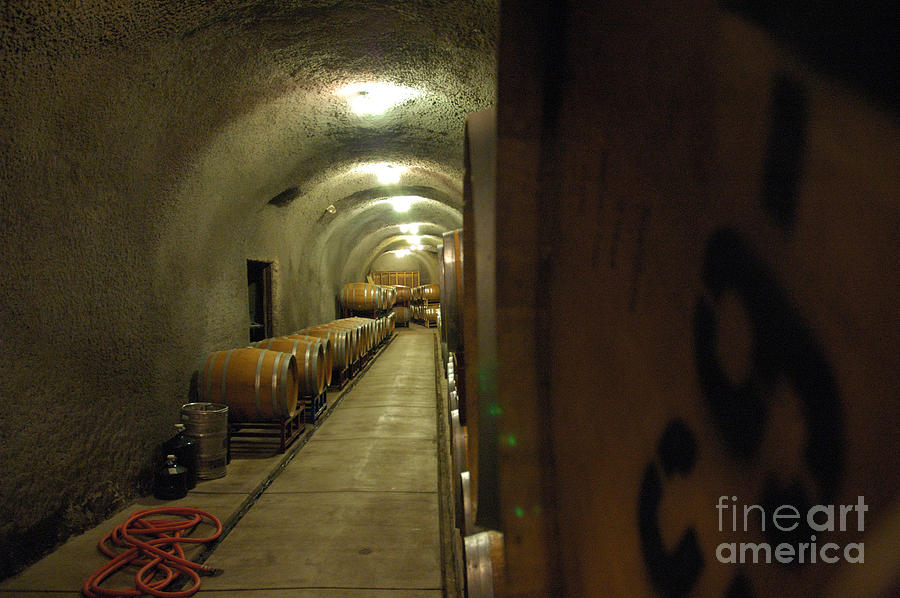 Wine Cellar 2 Photograph