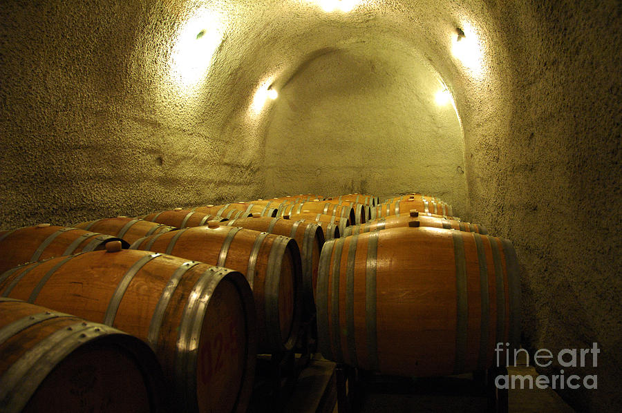 Wine Cellar 4 Photograph by Micah May